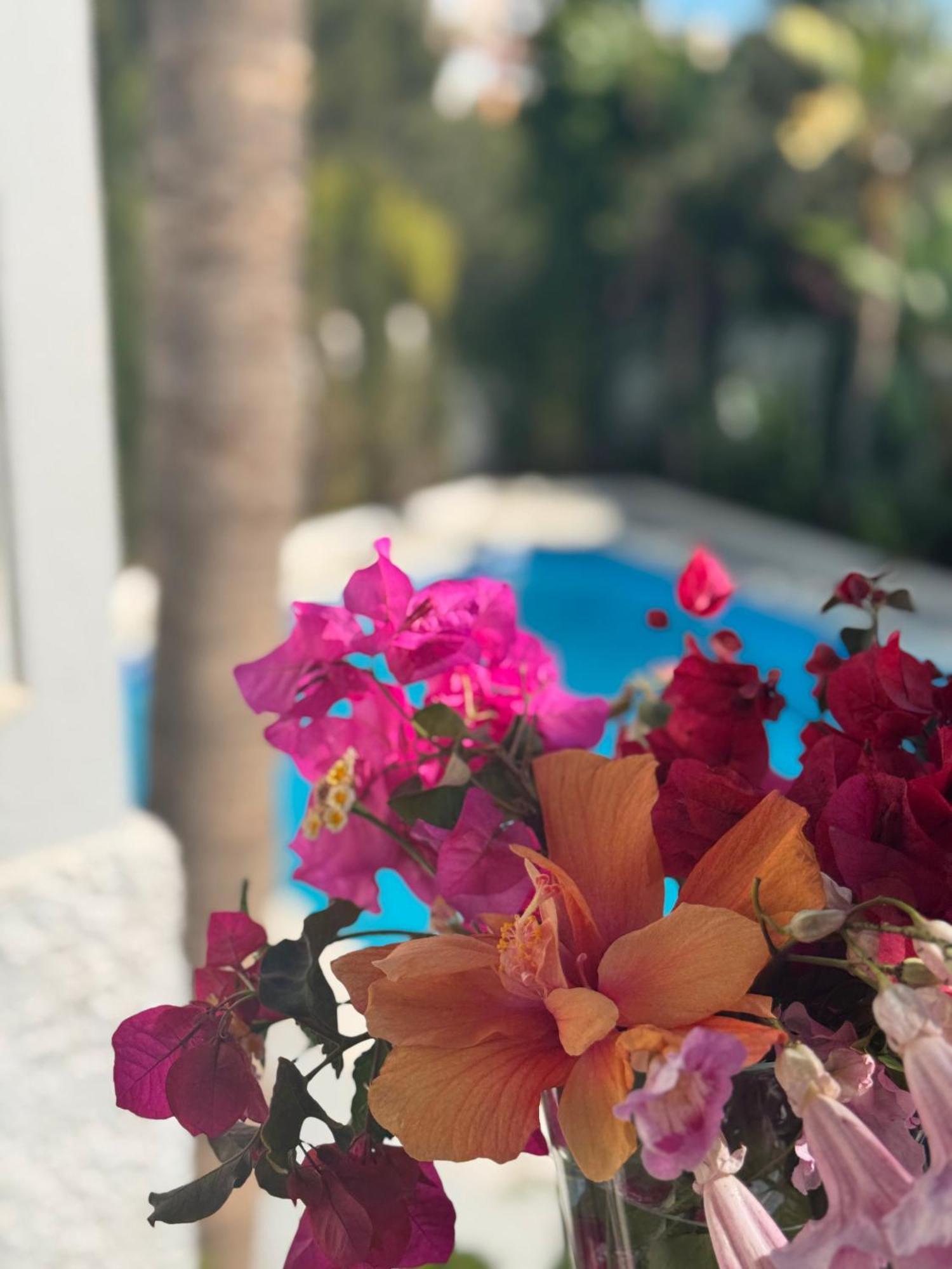 Villa Nerja Esterno foto